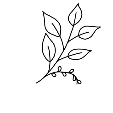 Cute hand drawn botanical leaf branch doodle isolated on transparent background. Foliage leaf twig line art vector illustration.