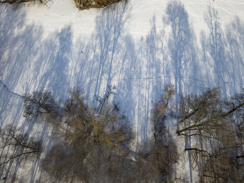 Aerial view of snow-covered forest with long tree shadows cast across the white ground in Berlin, Berlin, Germany.