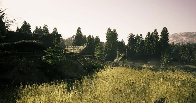 Golden meadow under soft evening light with pine backdrop and swaying grass long shadows and warm amber hues evoke pastoral calm and nostalgic mood,