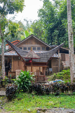 Tongkonan shaped tombs in a Toraja sanctuary, Sulawesi, Indonesia