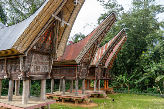 Traditional Toraja houses with buffalo horns, Sulawesi, Indonesia