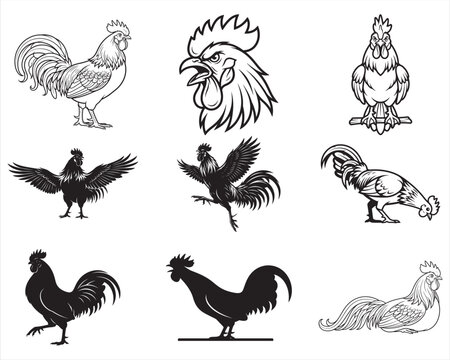 Rooster and Cockerel Farm Bird Vector Illustrations Set with Crowing Rooster Head Silhouette and Line Art Icons