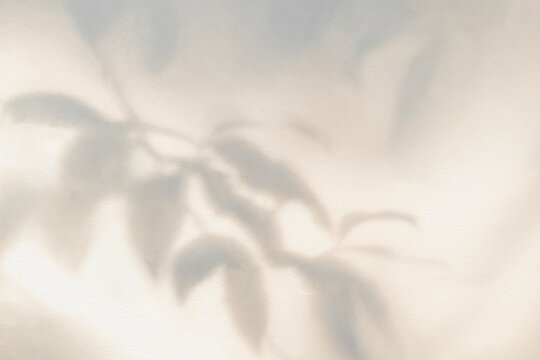 Light and shadow beige pastel abstract blur background. Natural leaves shadows and sunshine diagonal refraction on white wall texture. Shadow overlay effect foliage mockup banner graphic layout