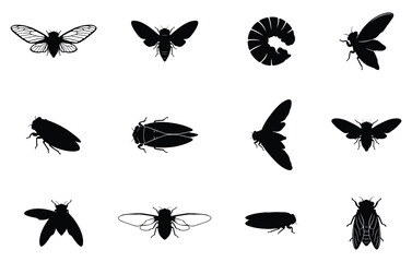 Fototapeta premium Cicada silhouette vector collection isolated on white background