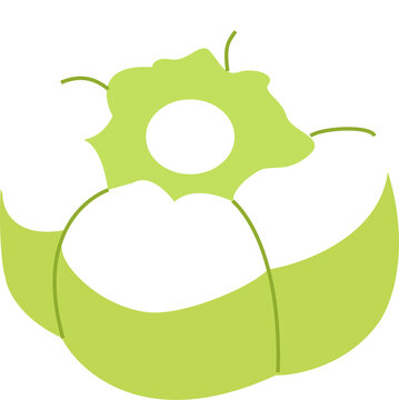 Indonesian Steamed Pandan Cake Putu Ayu Vector