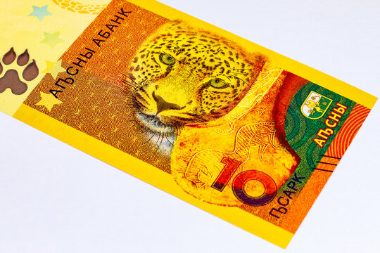 10 Apsar Abkhazia with the image of the Caucasian leopard and a bronze axe. Unrecognized republic of Abkhazia. Money of Abkhazia.