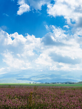 clouds in blue sky over sainfoin field in Armenia