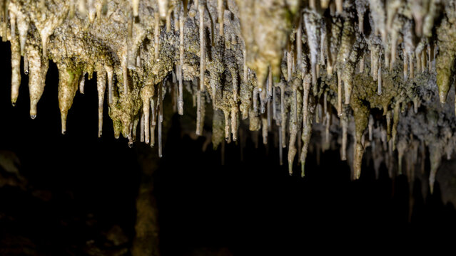 Wet stalactites hanging from a dark cave ceiling
