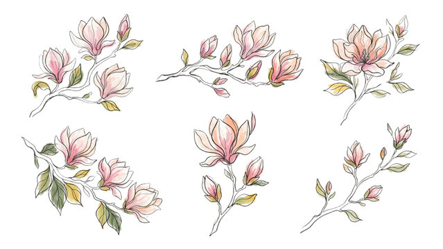 Magnolia Flower Branch Silhouette Continuous Line Art Vector Set with Spring Botanical Elements and Color Accents, Isolated on Transparent Background