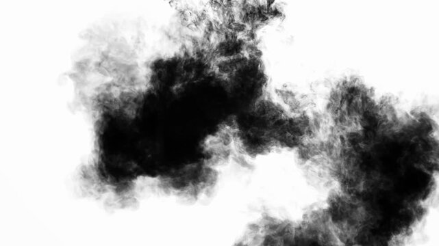 Dual Ink Cloud Opposite Formation Video - Center Reveal Effect for Brand Marketing & Product Launches, Motion Graphics & Logo Animation and Social Media & Content Creation