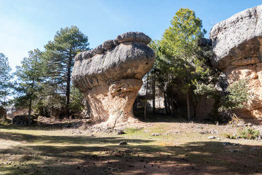 Unusual limestone rock formation surrounded by pine trees at Ciudad Encantada, Cuenca, Spain