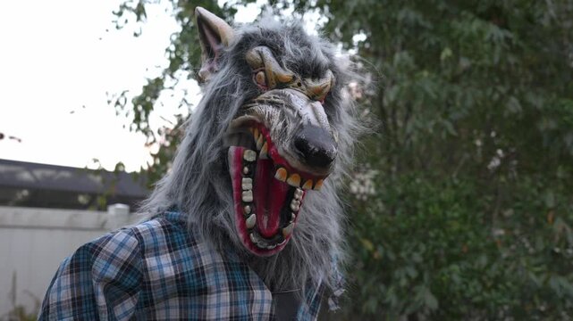 Close-up of a scary werewolf mask with open mouth, sharp teeth, and gray fur. Halloween costume outdoors in a yard with green foliage and a fence.