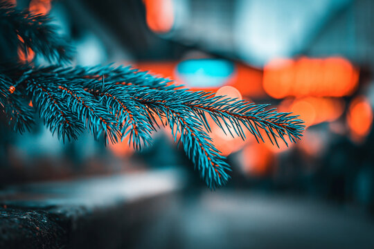 Pine tree branch closeup with blurry festive bokeh lights in background