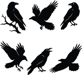 Naklejka premium Crow and Raven Silhouette Vector Illustration Set with Flying and Perching Black Bird Poses for Nature and Wildlife Design