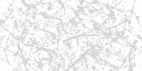 Fototapeta premium Abstract organic pattern with delicate grey branches and faint leaf shapes on a bright white background
