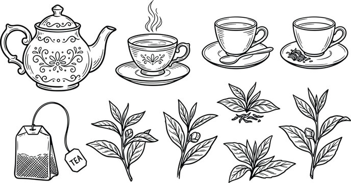  Vintage botanical tea set vector illustration featuring detailed line art teapot teacups saucers tea bag and fresh leaves [image_gAZHoJ.png]