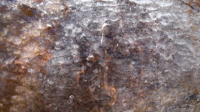 Ice Stream and Rock Texture in Calico Tanks Red Rock Nevada Winter Detail