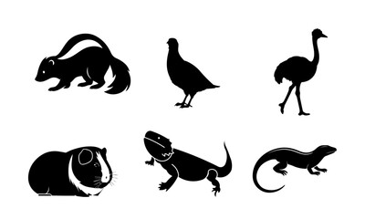 Obraz premium Silhouettes of various exotic animals including birds and reptiles displayed in a black and white vector art design collection.