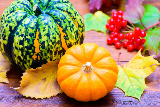 Herbstdekoration f&uuml;r Halloween und Erntedank mit K&uuml;rbis, Fr&uuml;chten und Herbstbl&auml;tter