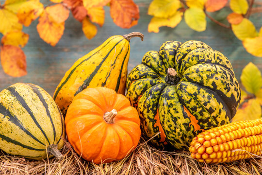 Herbst-Dekoration mit Bl&auml;tter und Fr&uuml;chte