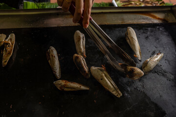 Grilling Exotic Mentarang Angelwing Clams © udeyismail