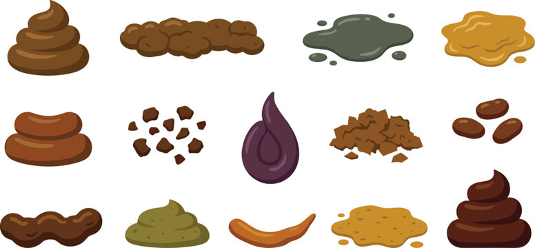 Types of human stool and feces vector illustration set based on Bristol stool chart showing different textures diarrhea constipation health forms isolated on white background
