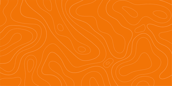 Modern salmon fillet topographic map pattern vector. Orange abstract fish meat texture with flowing contour lines for culinary design, seafood packaging, and branding.