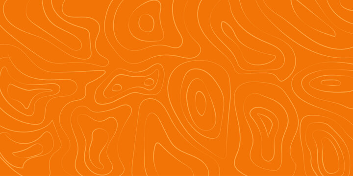 Minimalist salmon fillet topographic pattern vector background. Orange abstract fish meat texture with clean contour lines for culinary packaging and seafood branding.