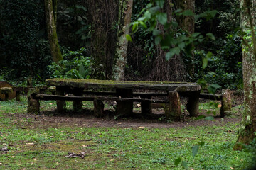 mesa na floresta © Rodrigo Silva
