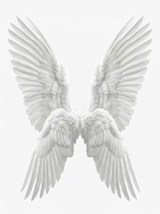 Naklejka premium Large White Angel Wings Isolated on White Background - Ethereal and Spiritual Concept for Design