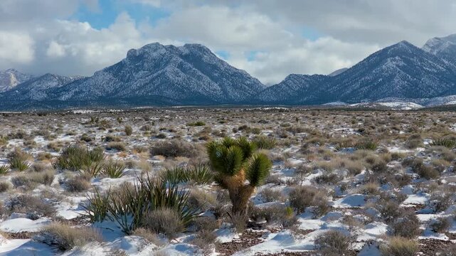 Aerial Snowy Desert Valley Mt Charleston Nevada Flyover