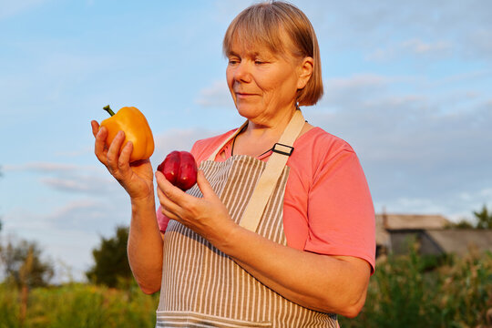 A woman stands in a garden at sunset, holding a yellow bell pepper in one hand and a red apple in the other. She looks at the fruits with interest