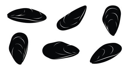 Black mussel shells illustration a vector graphic on a white background © MdNirob