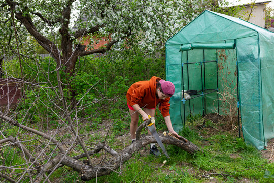 A young woman is sawing branches off a fallen tree.