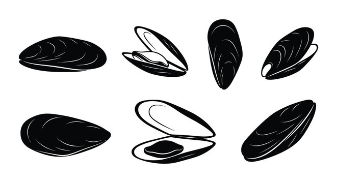Black mussel shells illustration a vector graphic on a white background