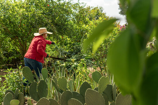 Latina woman working in garden with machete in mexico