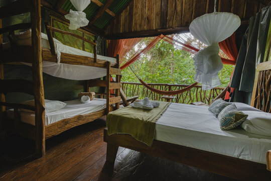 Retreat bedroom with bunk beds and jungle view