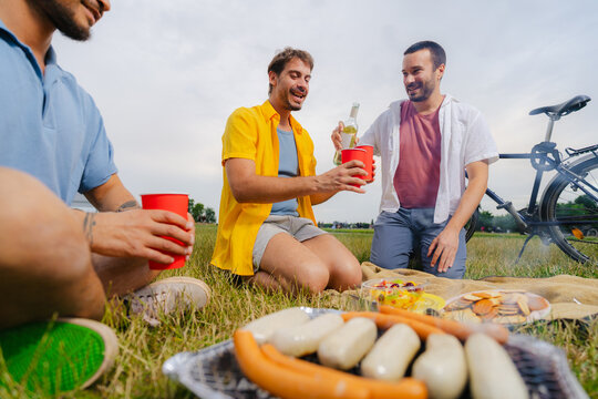 Friends Toasting at Park Picnic