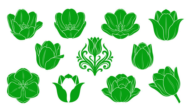 Collection of green grunge tulip flower icons and traditional japanese kamon family crest symbols