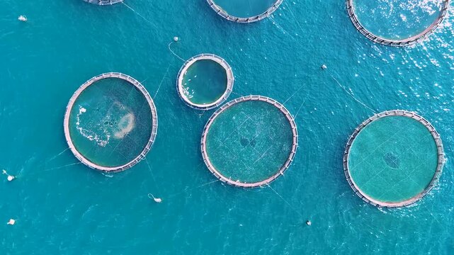 Aerial top down view of a sea fish farm in Corfu