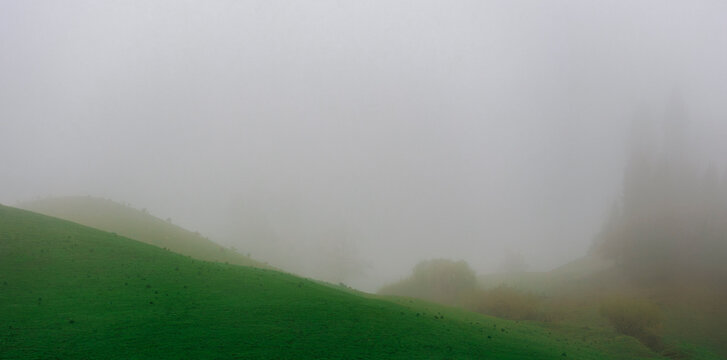 Minimalist Fogscape: Misty Negative Space and Green Ridge.