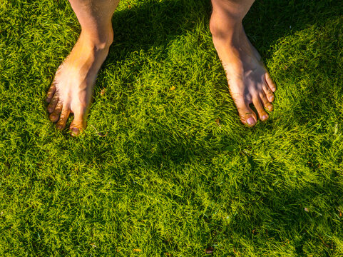Bare Feet on Lush Green Grass Under Sunlight