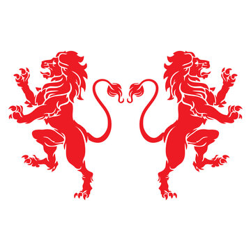 Premium Lion Logo Design Vector for Modern Brand Identity