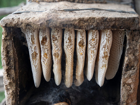 Traditional Bee Keeping 