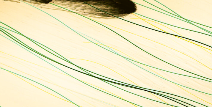Subtle Grunge Textured Pattern on a Vintage Blank Canvas