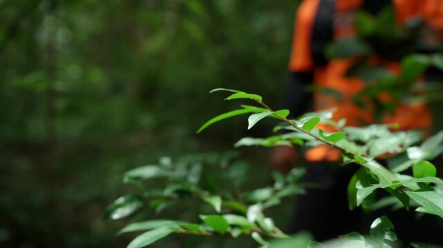 Close up Man trail running through a forest during an outdoor workout. He challenges himself to improve fitness and endurance while pursuing personal goals and a healthy active lifestyle.

