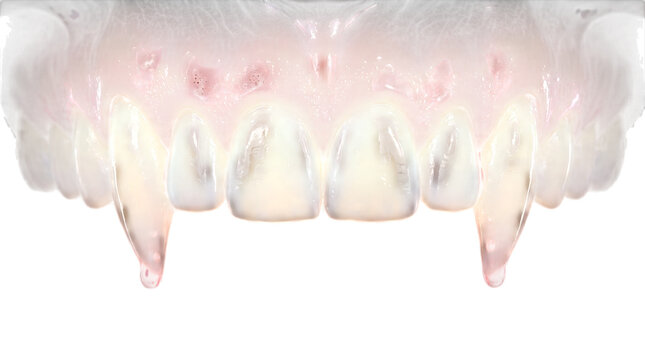 Closeup of vampire teeth with sharp fangs isolated on transparent background, Halloween, Halloween 2026, Halloween png, Halloween element