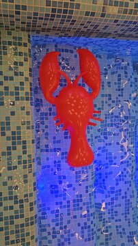 Red plastic lobster floats in blue-tiled pool. Water ripples gently around the toy. Tile pattern glows under poolside lighting. No live animals or plants present in shot