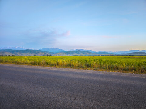 Asphalt Road Leading to Green Fields and Snow-Capped Mountains
