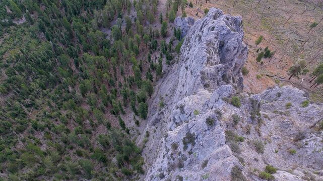 Aerial Echo Ridge Mt Charleston Rocky Spine and Forest Nevada Fly Through